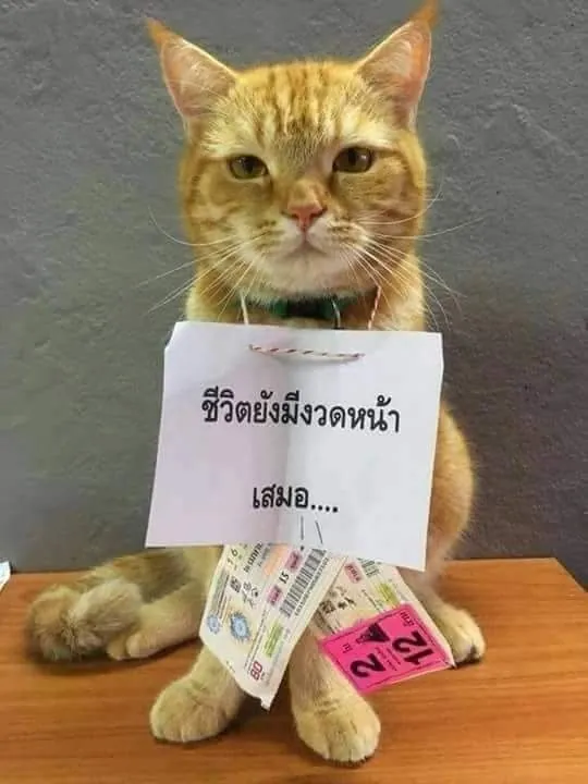 โปรไฟล์คนรีวิวเว็บหวย เฮง36